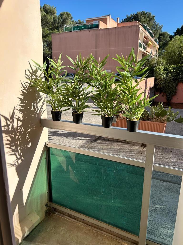 Studio Meuble Bord De Mer Bormes-les-Mimosas Ngoại thất bức ảnh